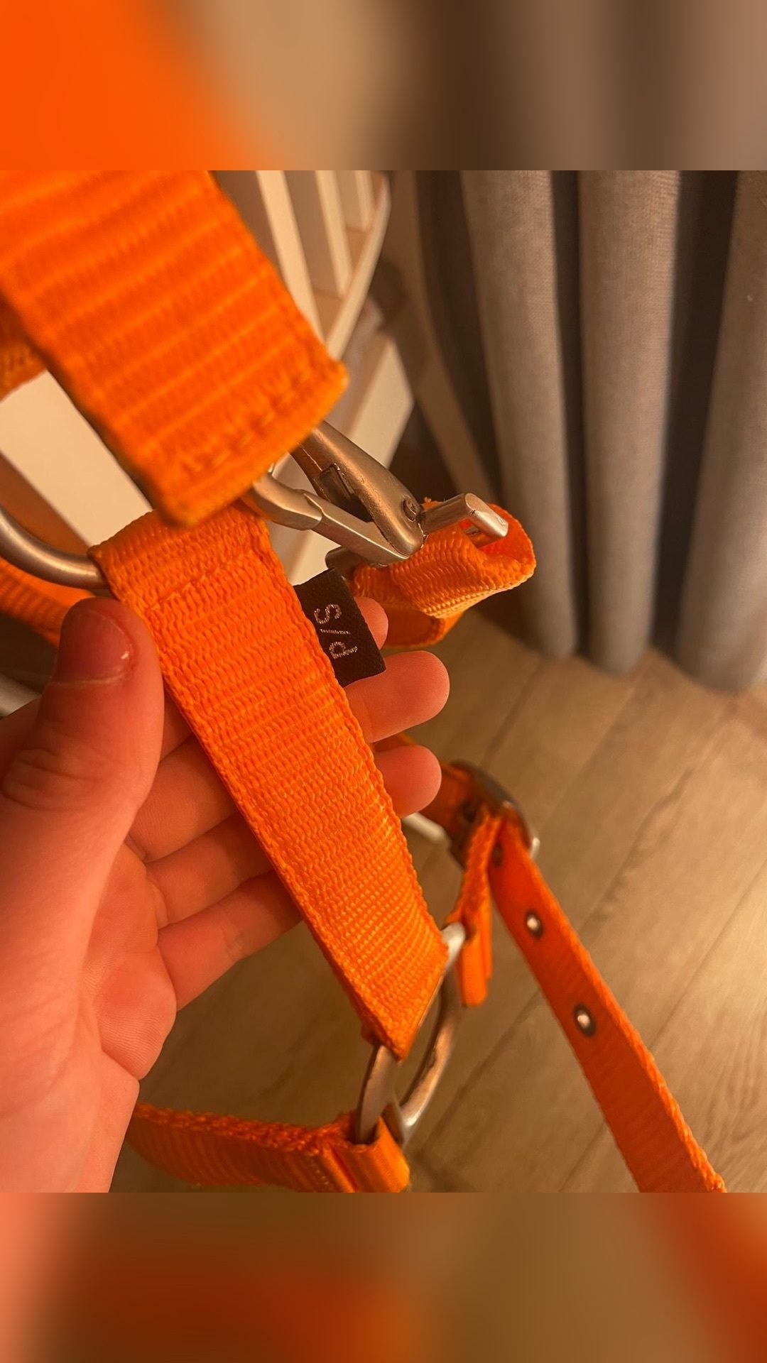 Licol orange, média 2