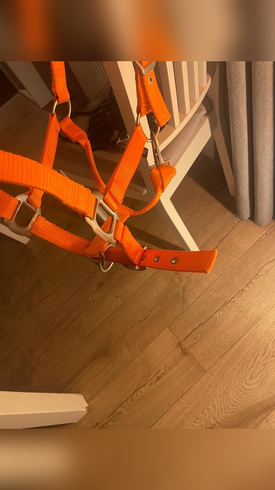 Licol orange, média 3