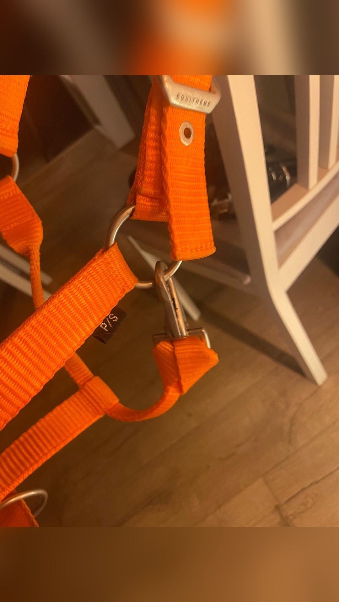 Licol orange, média 4