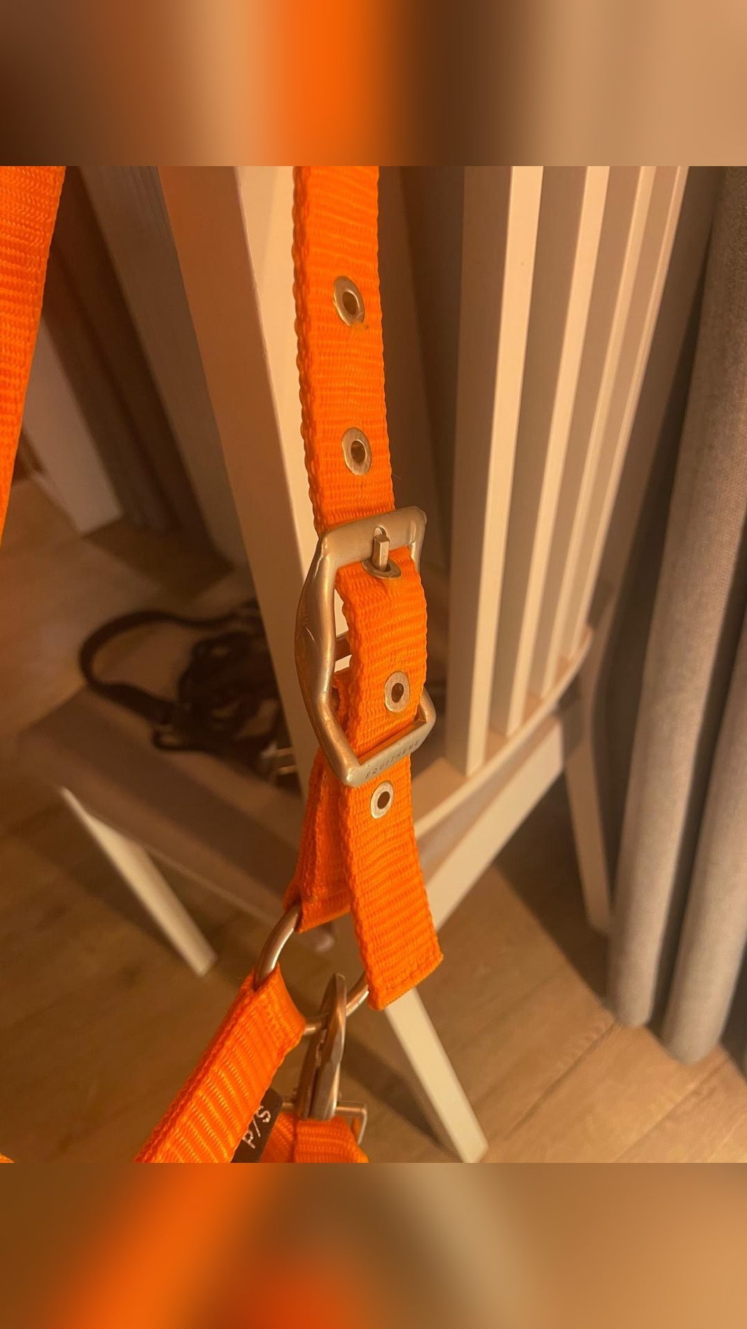 Licol orange, média 5