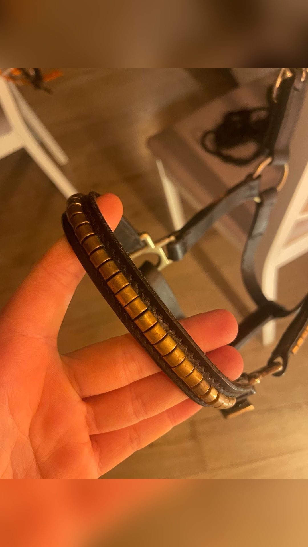 Licol en cuir marron, média 2