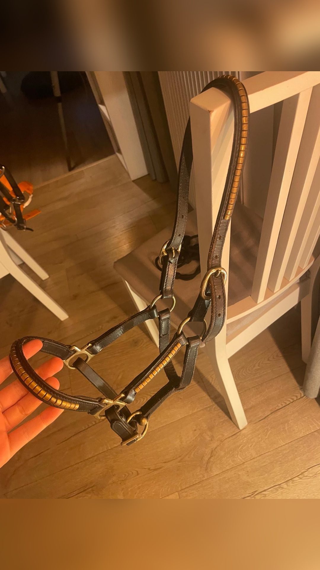 Licol en cuir marron, média 5