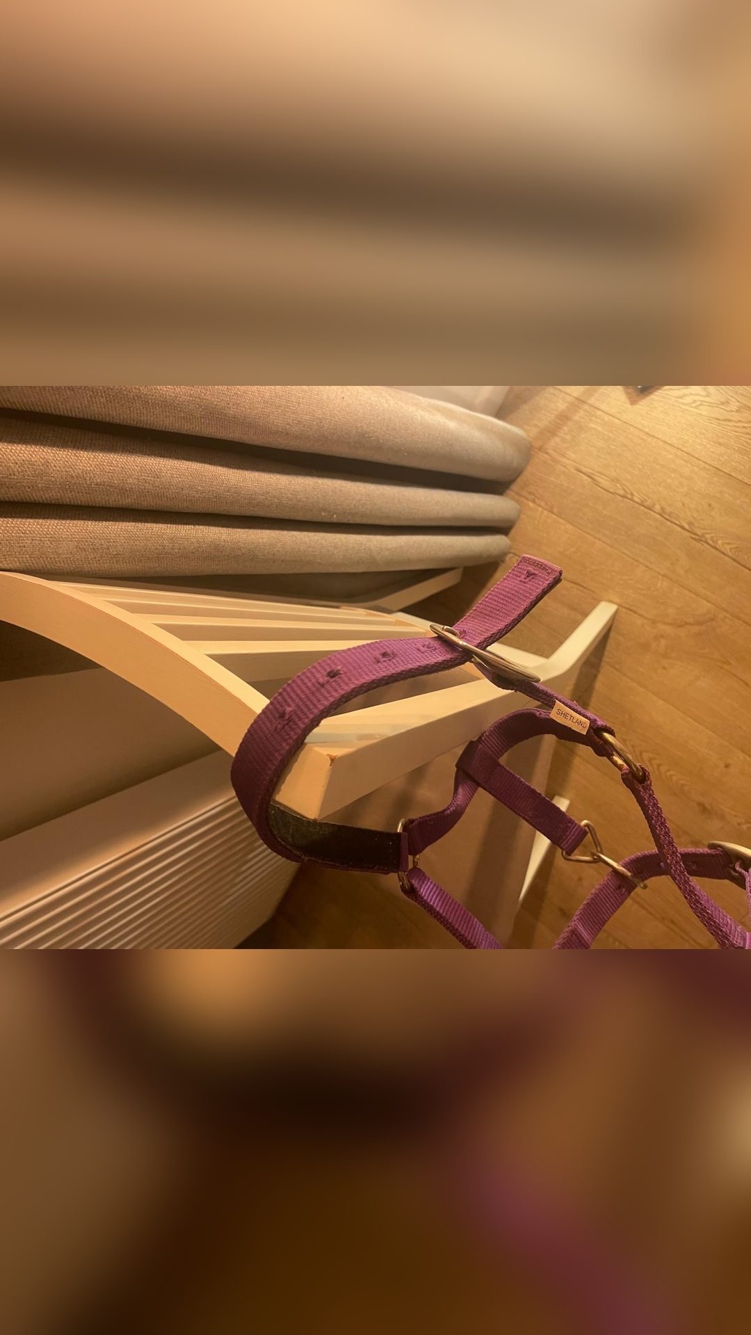 Licol violet, média 2