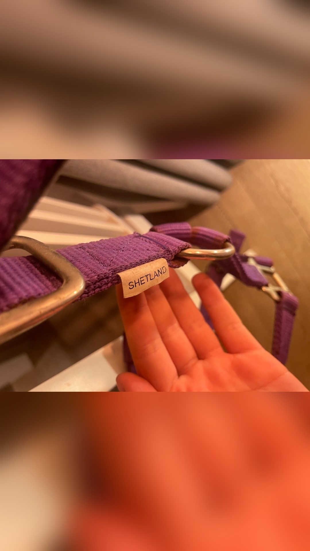 Licol violet, média 4