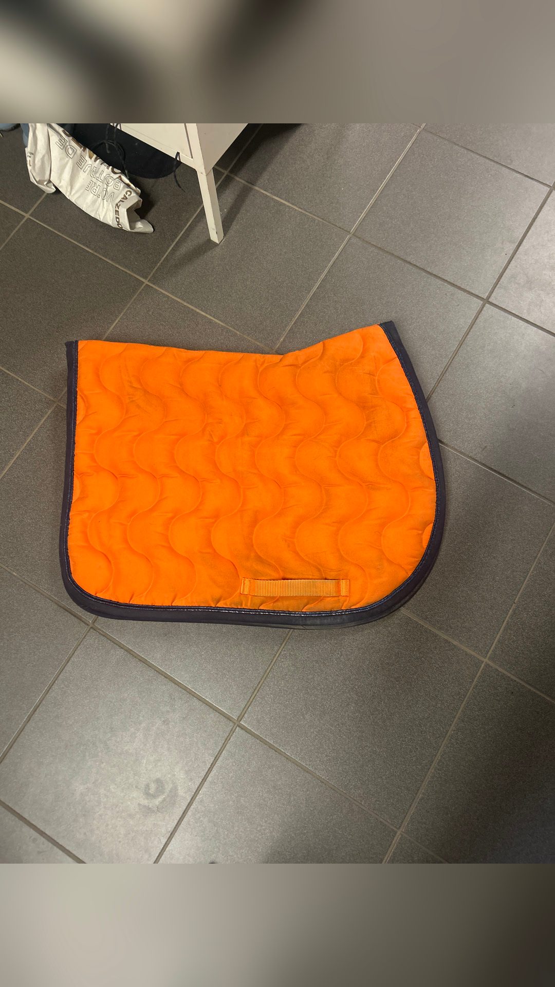 Tapis cheval, média 2