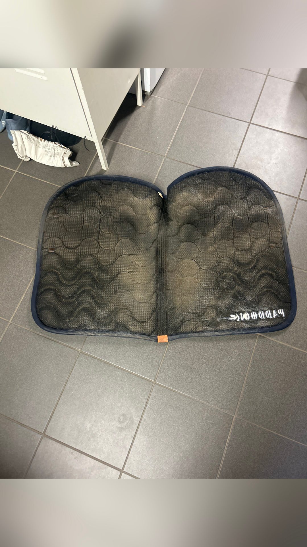 Tapis cheval, média 3