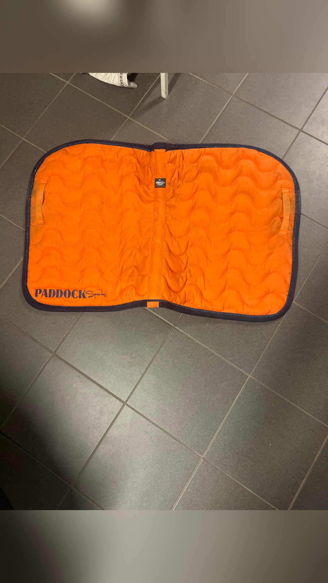 Tapis cheval, média 4