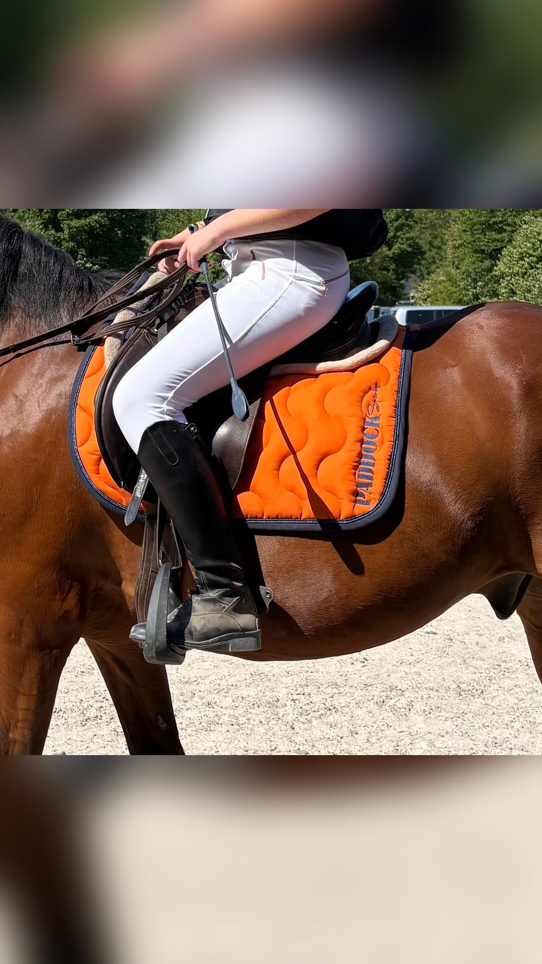 Tapis cheval, média 5