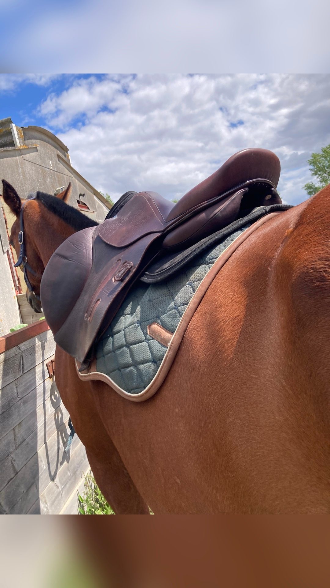 SELLE GBS CSO 2023, média 5