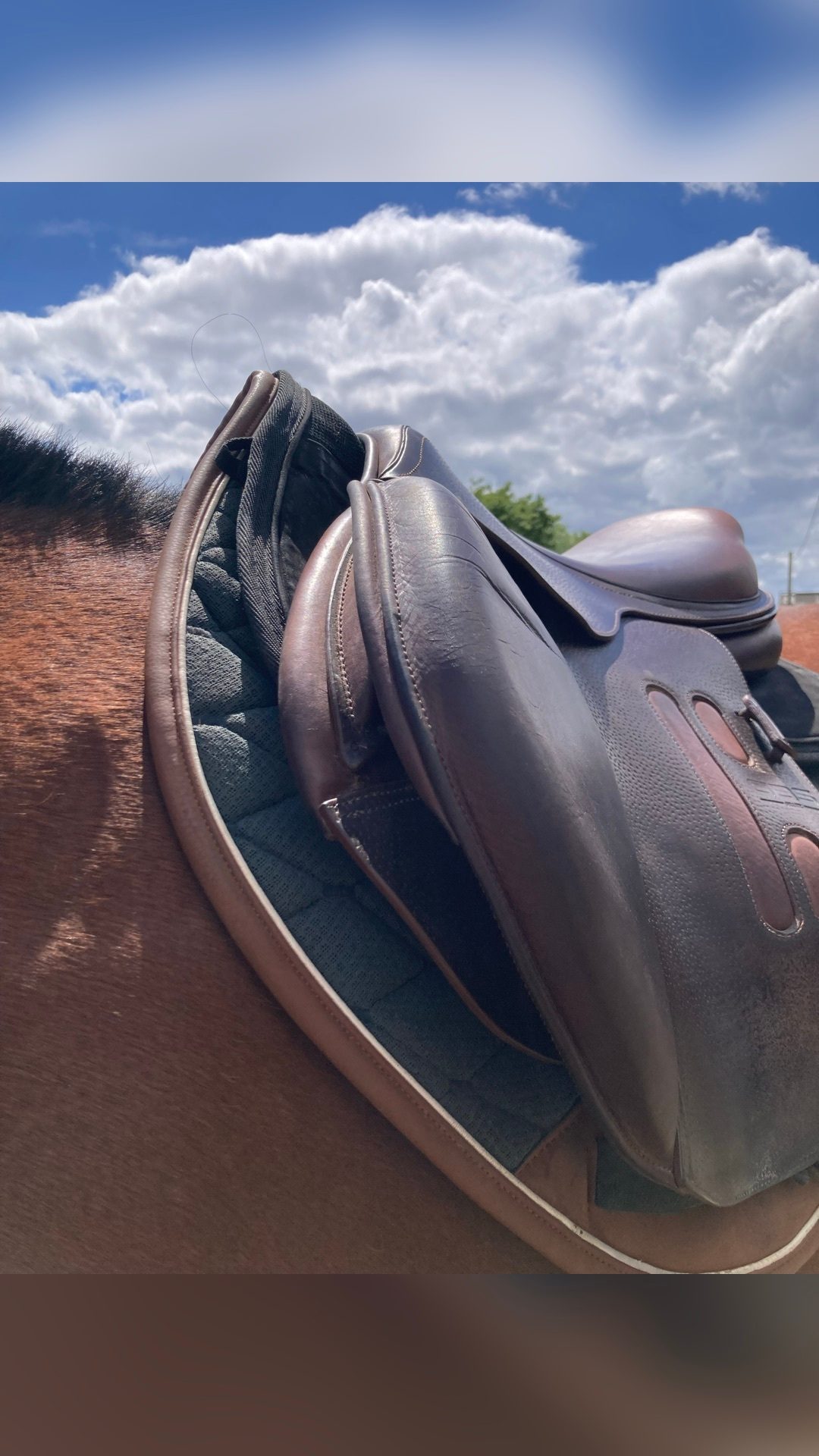 SELLE GBS CSO 2023, média 6