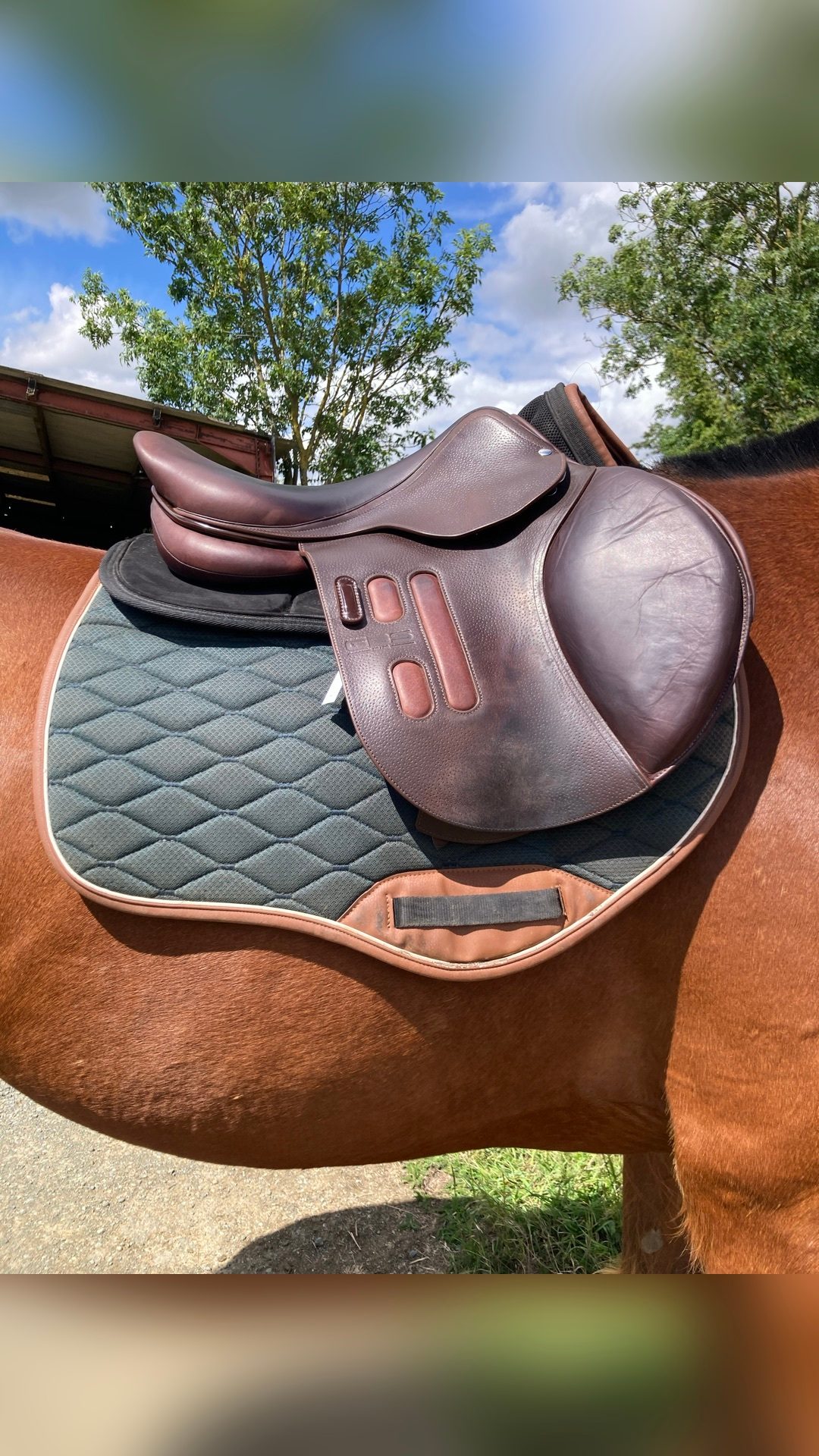 SELLE GBS CSO 2023, média 2