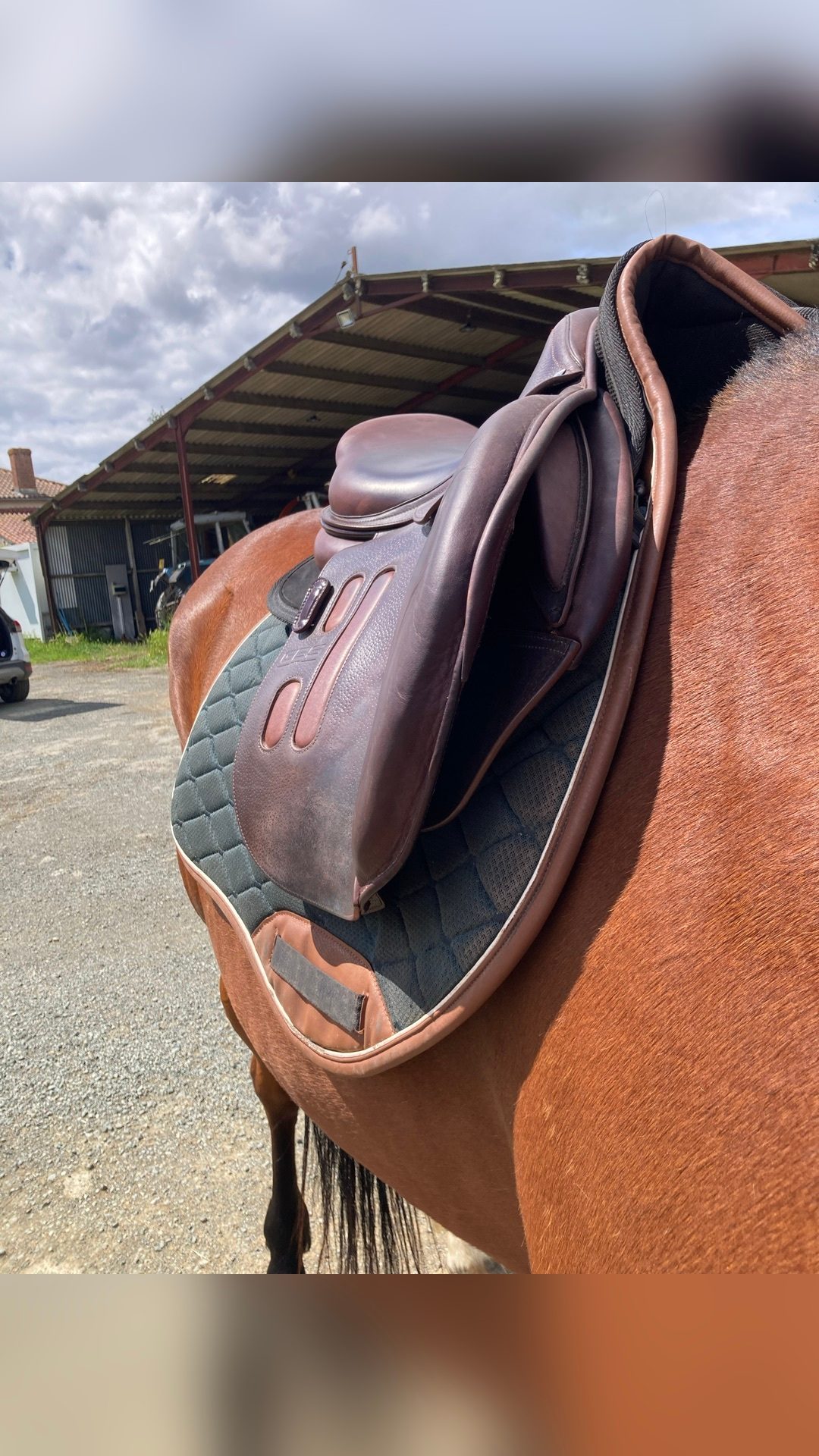 SELLE GBS CSO 2023, média 3
