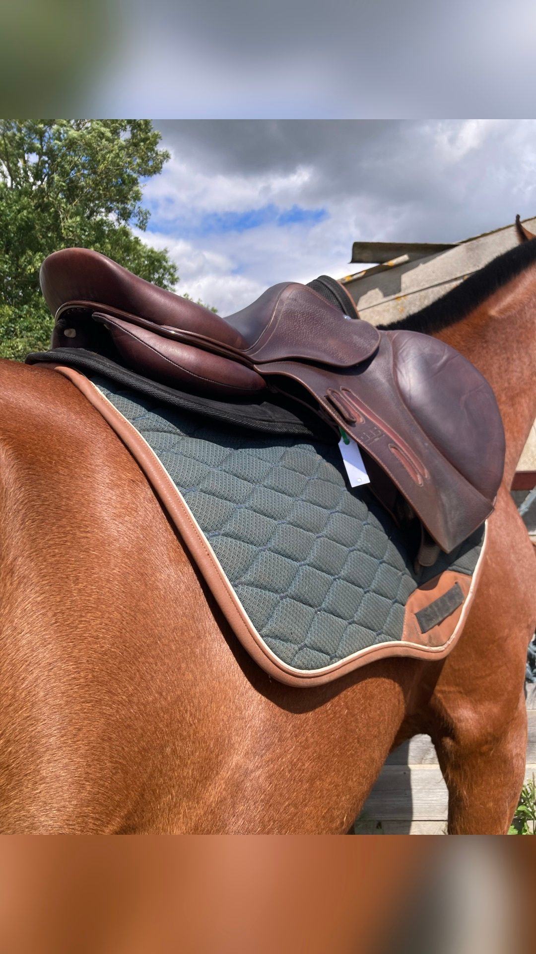 SELLE GBS CSO 2023, média 4