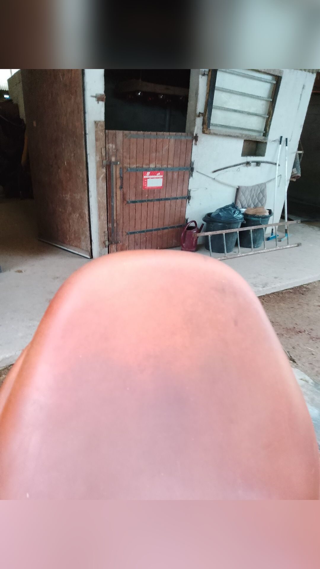 Selle obstacle 17,5, média 5