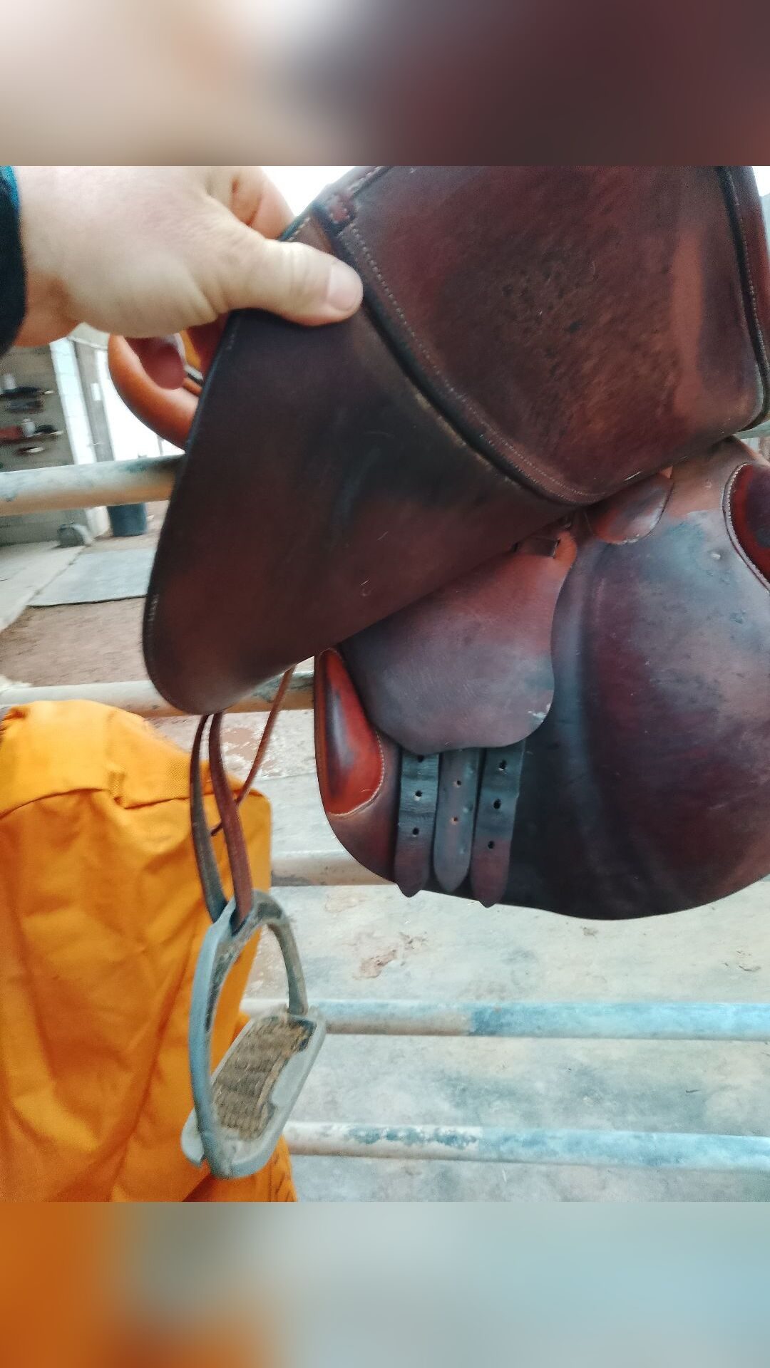 Selle obstacle 17,5, média 6