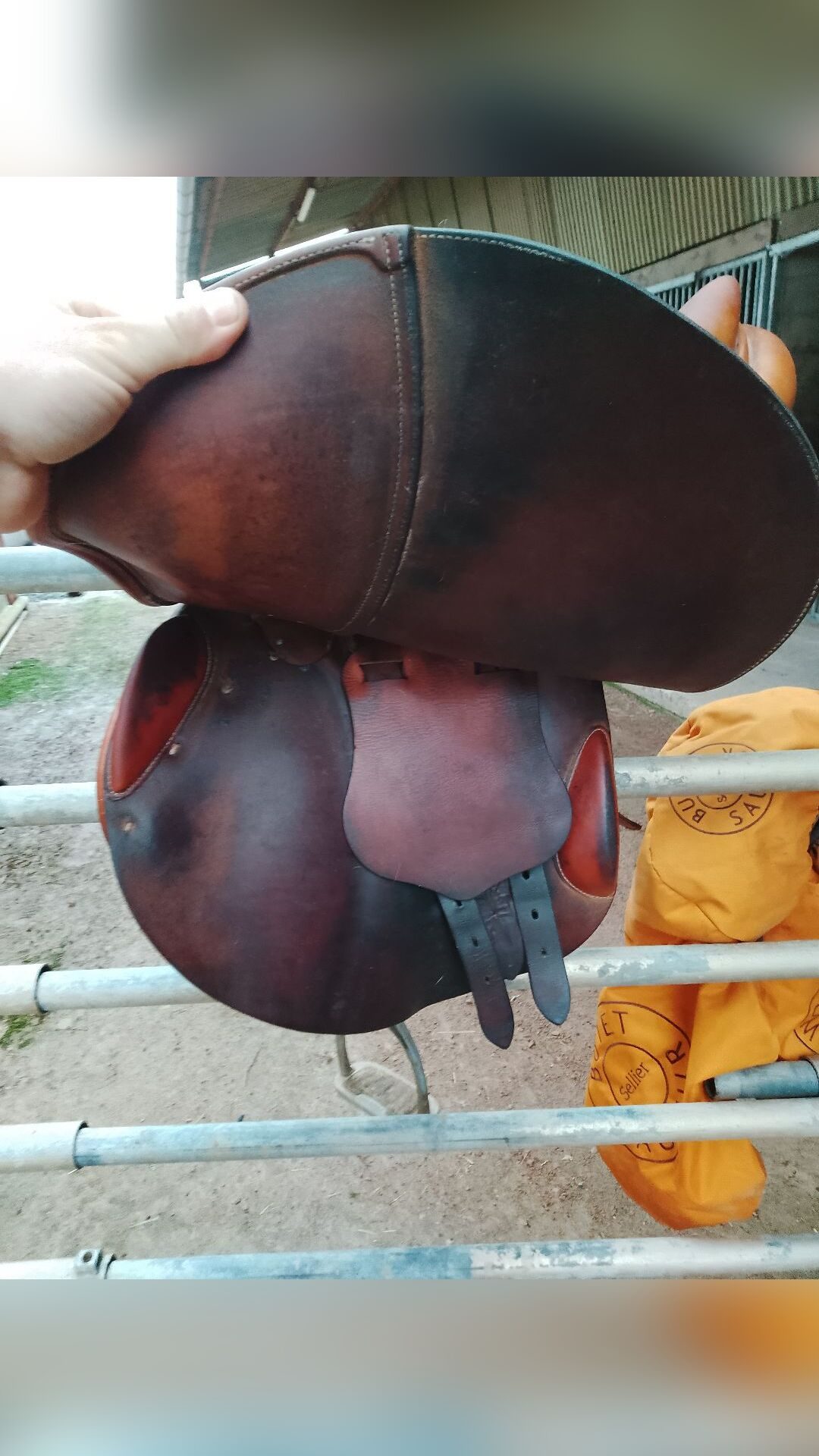 Selle obstacle 17,5, média 7
