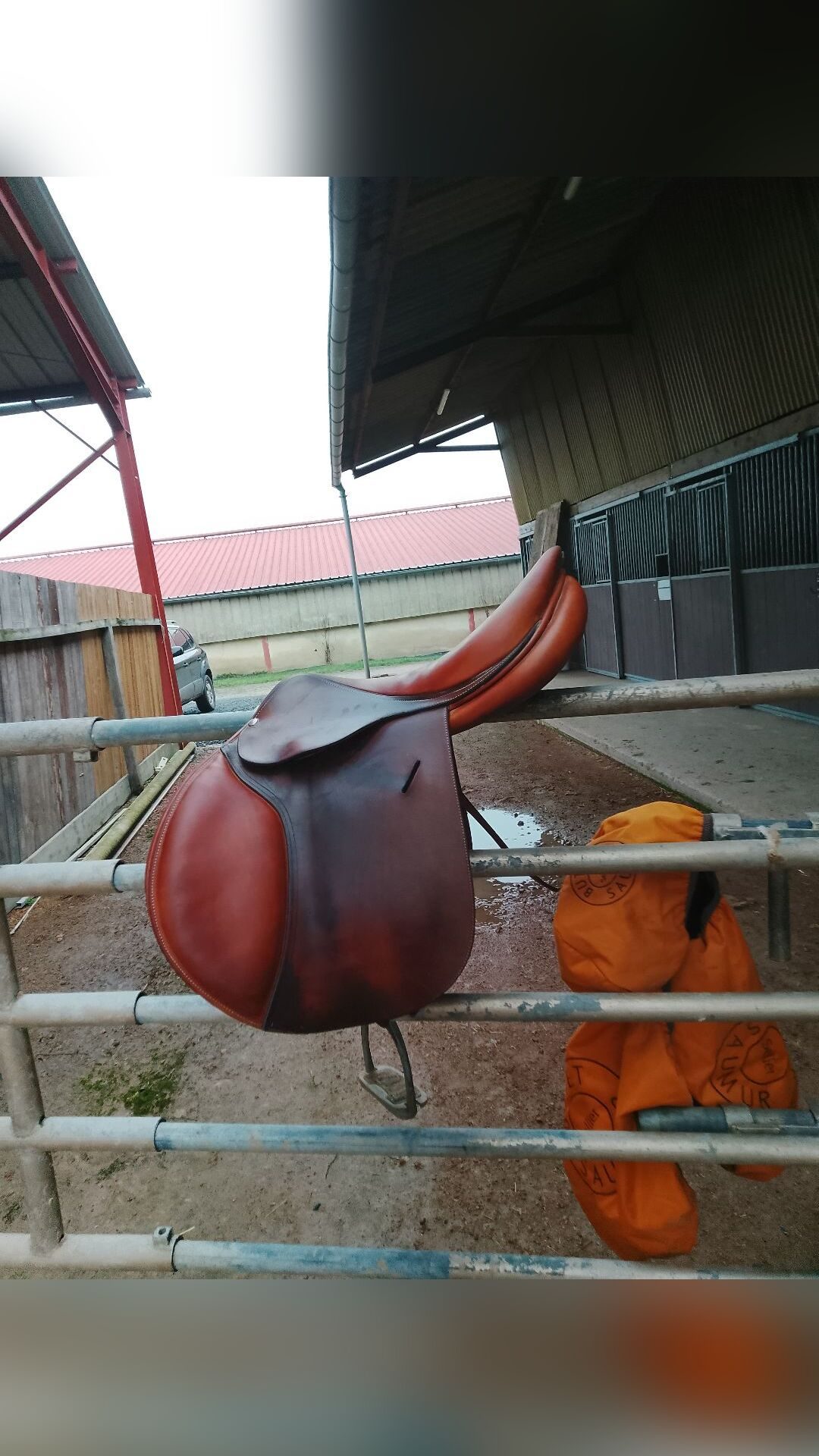 Selle obstacle 17,5, média 8
