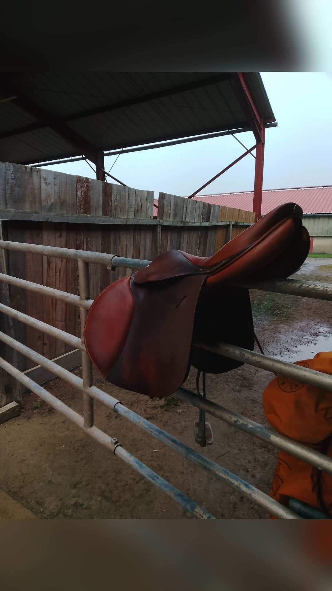 Selle obstacle 17,5, média 9