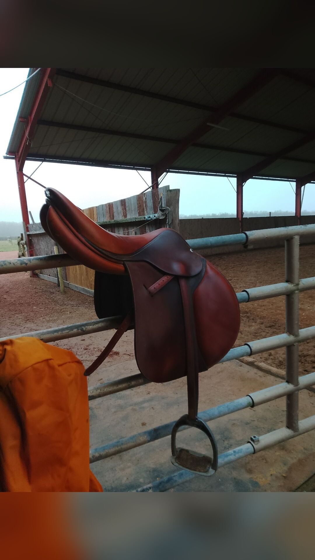 Selle obstacle 17,5, média 11