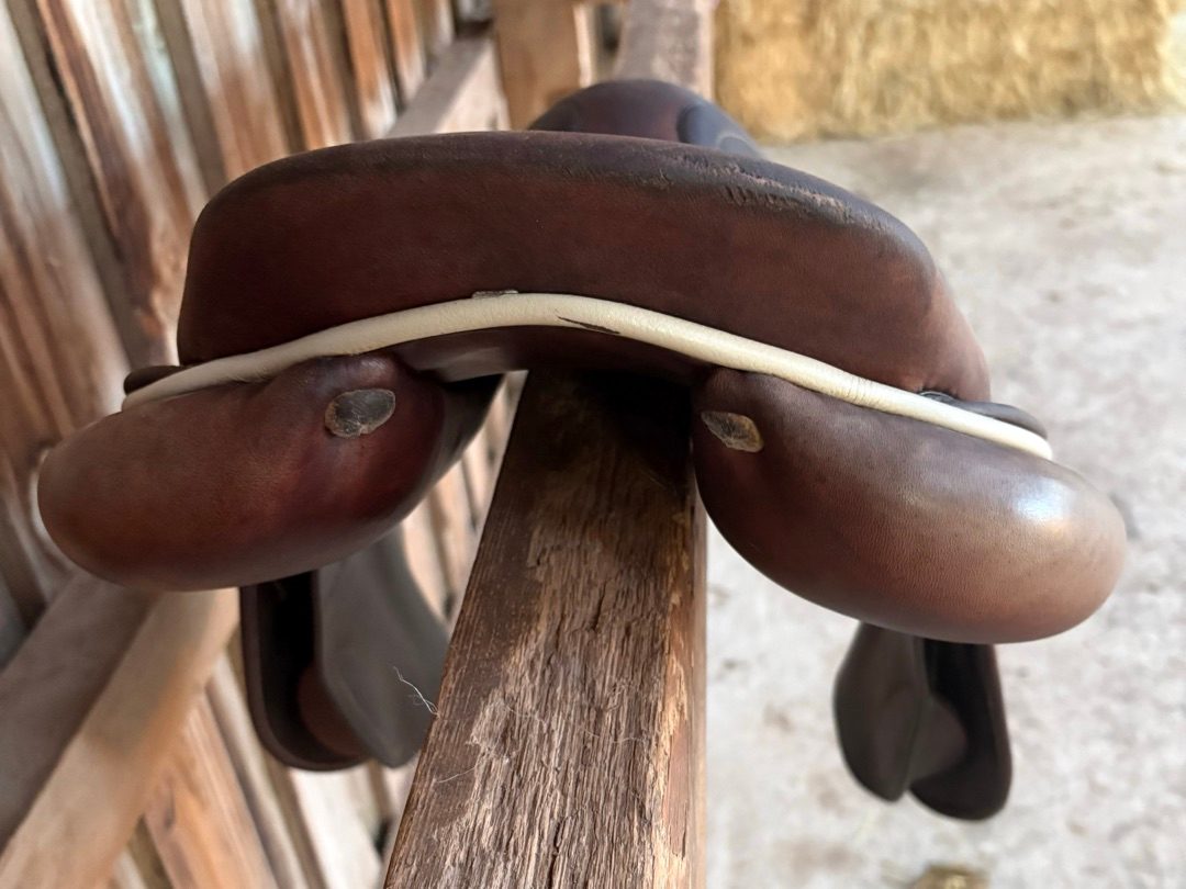 Selle, média 5