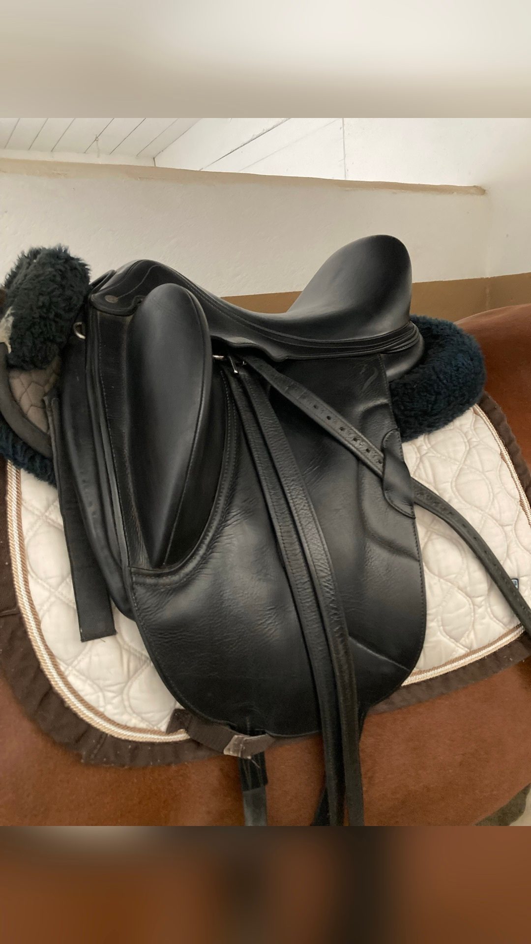 Selle de dressage, média 2