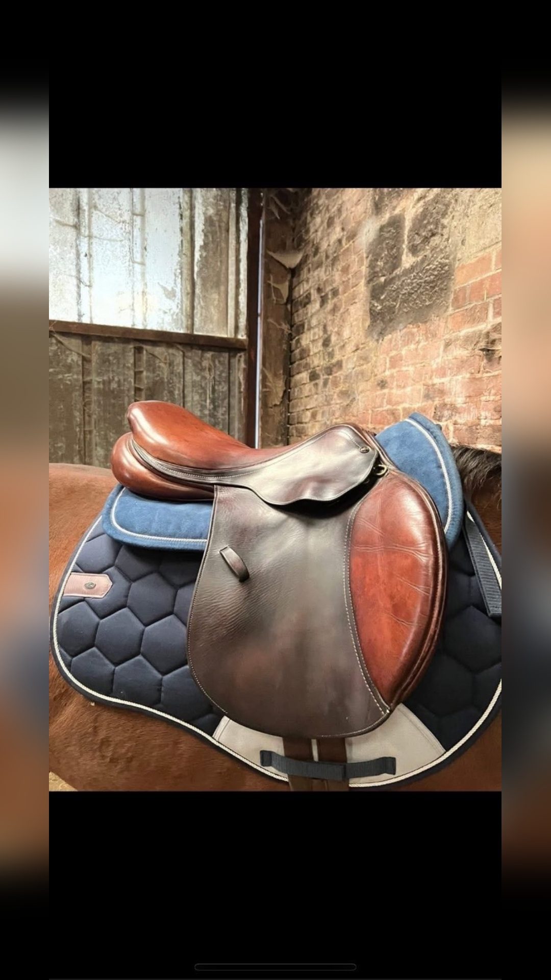 Selle, média 2