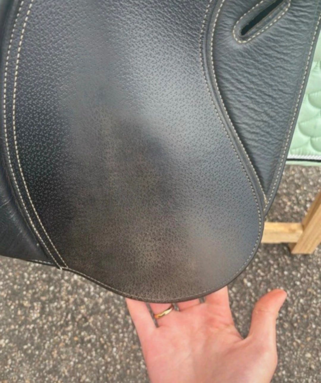 Selle noire, média 3