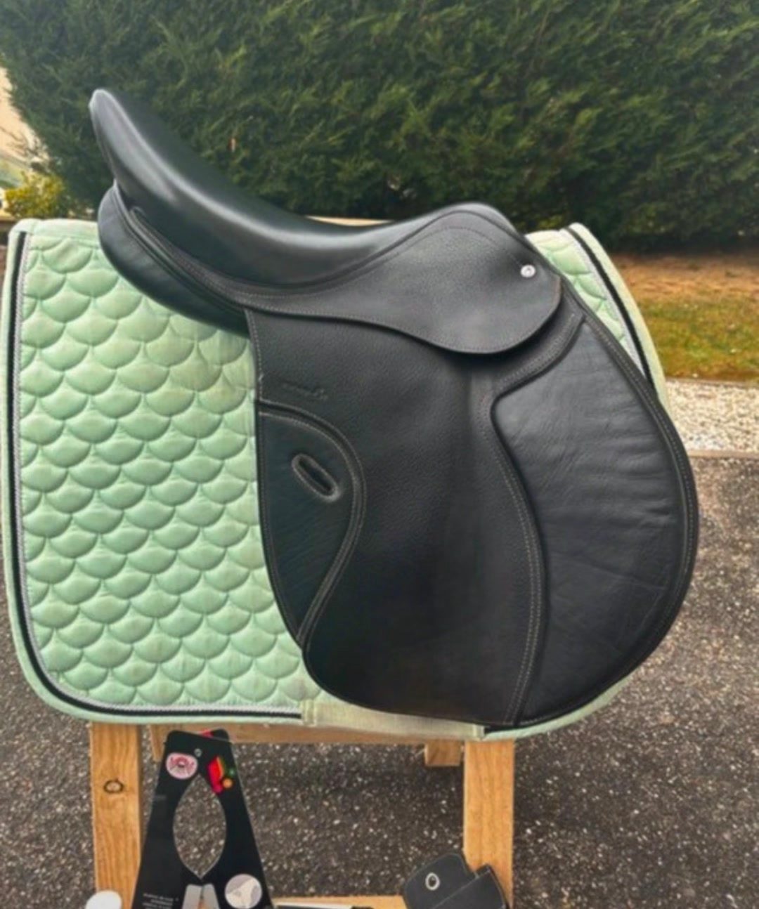 Selle noire, média 2