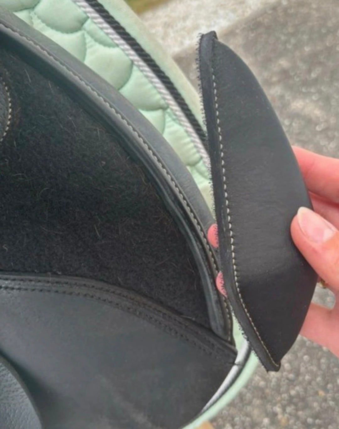 Selle noire, média 7