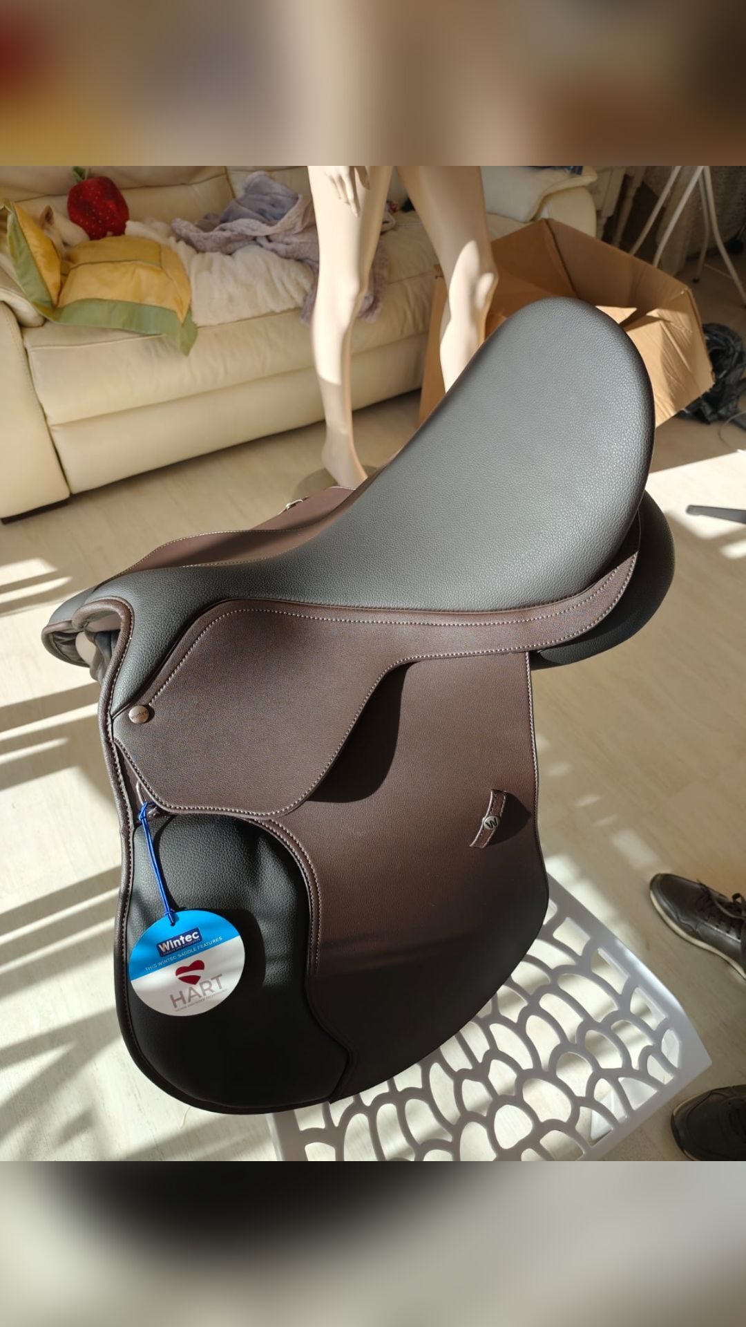 Selle pour chevaux, média 2
