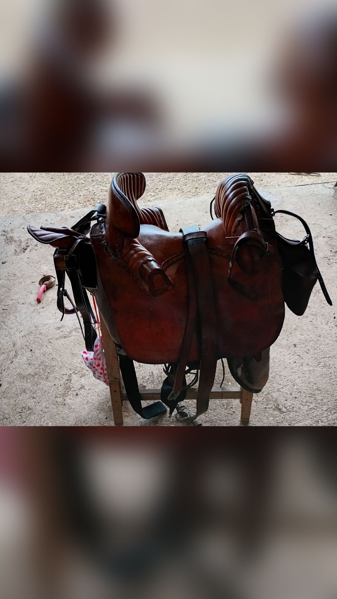 Selle Camargue, média 2