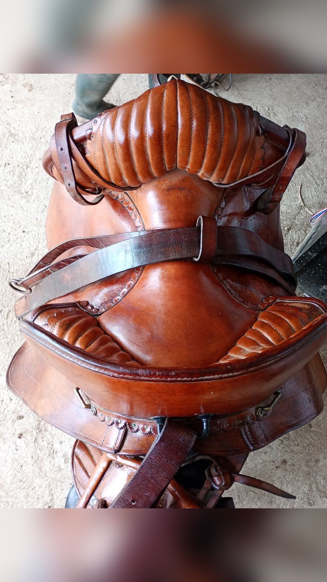 Selle Camargue, média 3