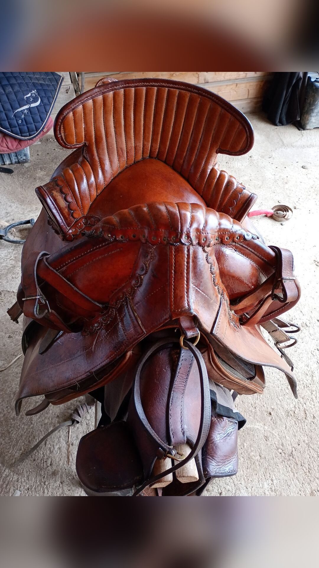 Selle Camargue, média 4
