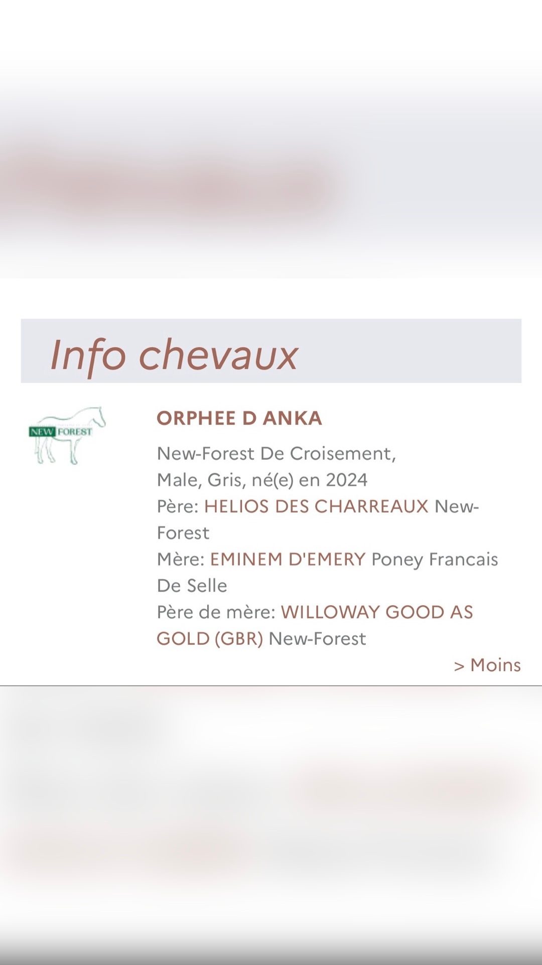 ORPHEE D ANKA, média 5