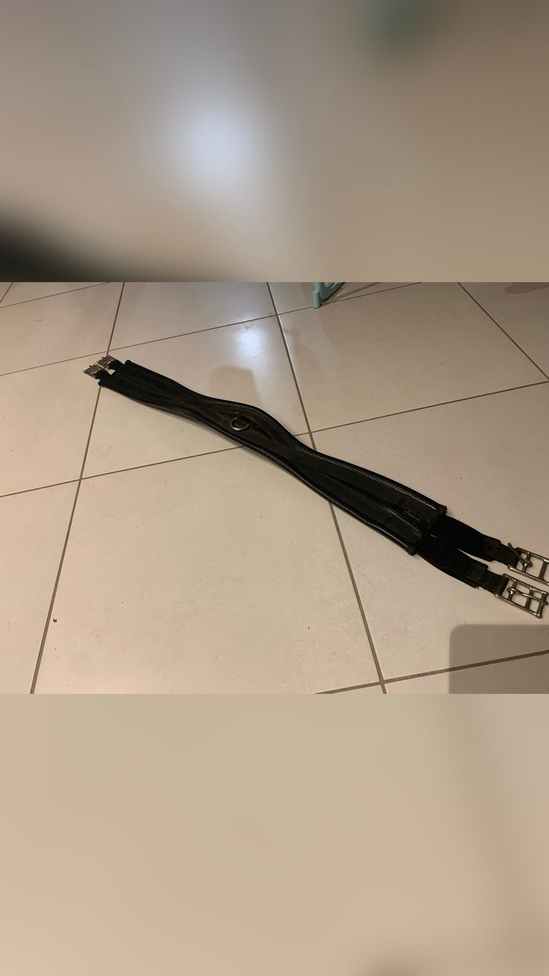 Selle Forestier, média 5