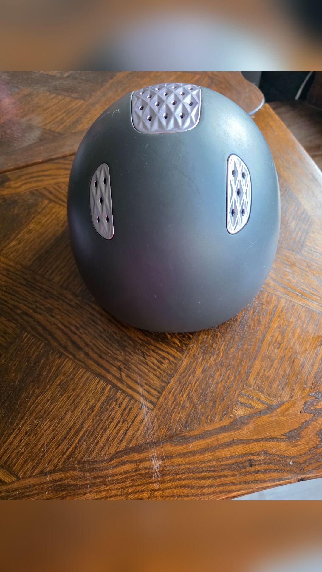 Bombe d'équitation, média 3