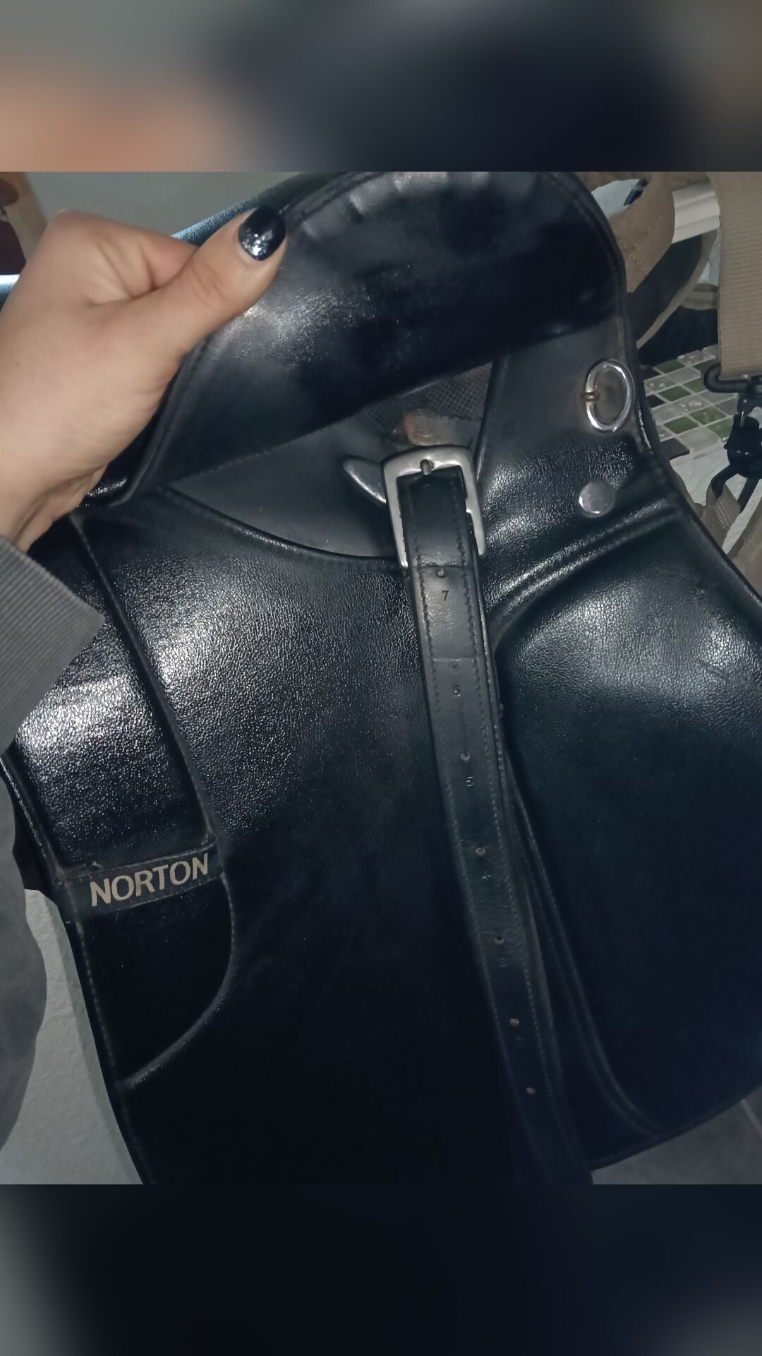 Selle mixte NORTON, média 10