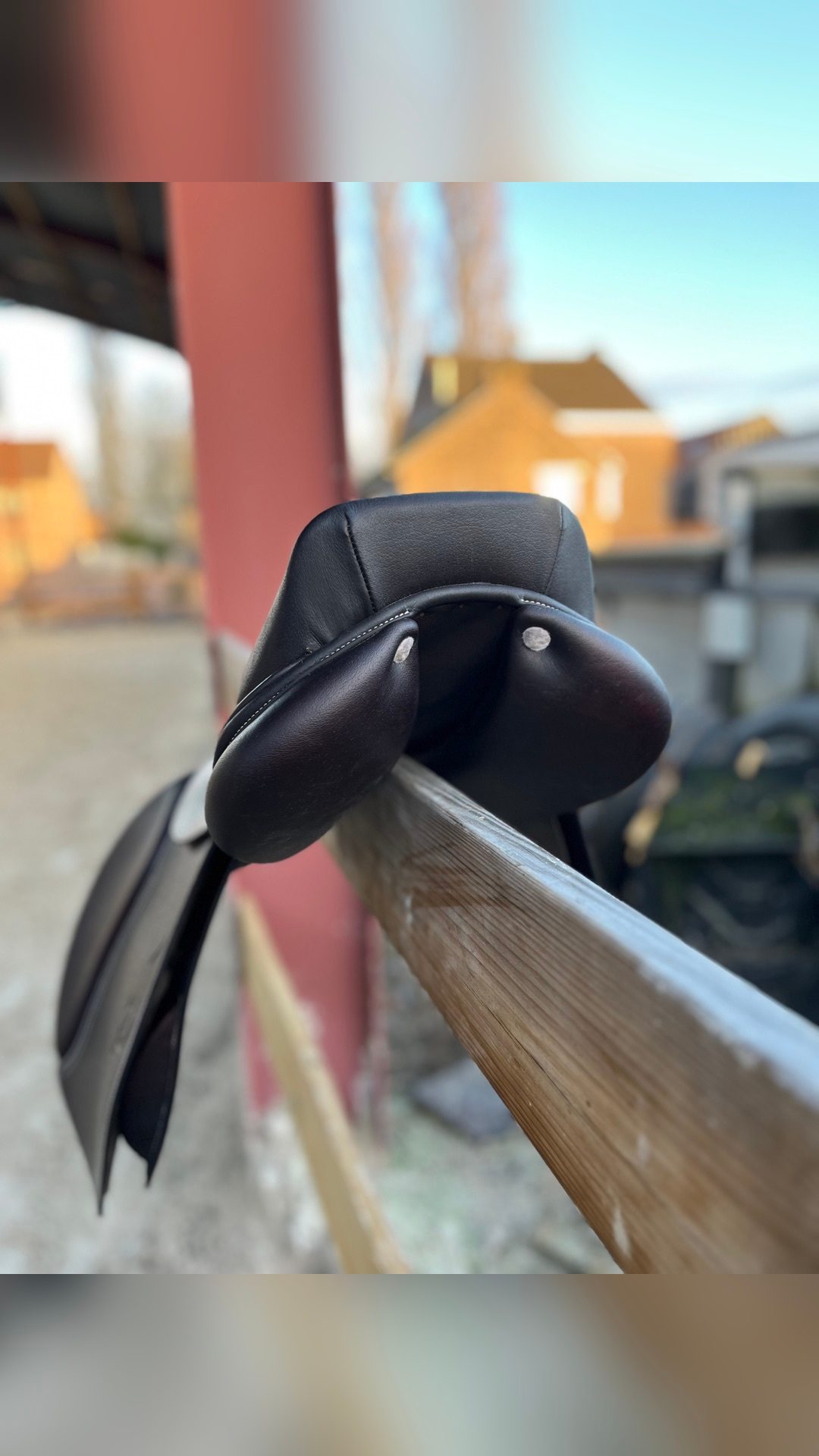 Selle Privilège Lamotte, média 2