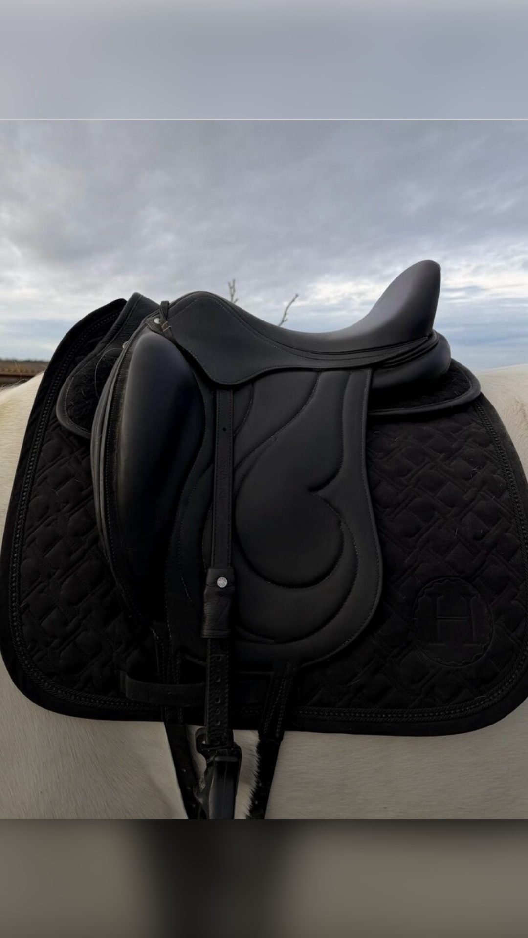 Selle de dressage Antarès 17’, média 2