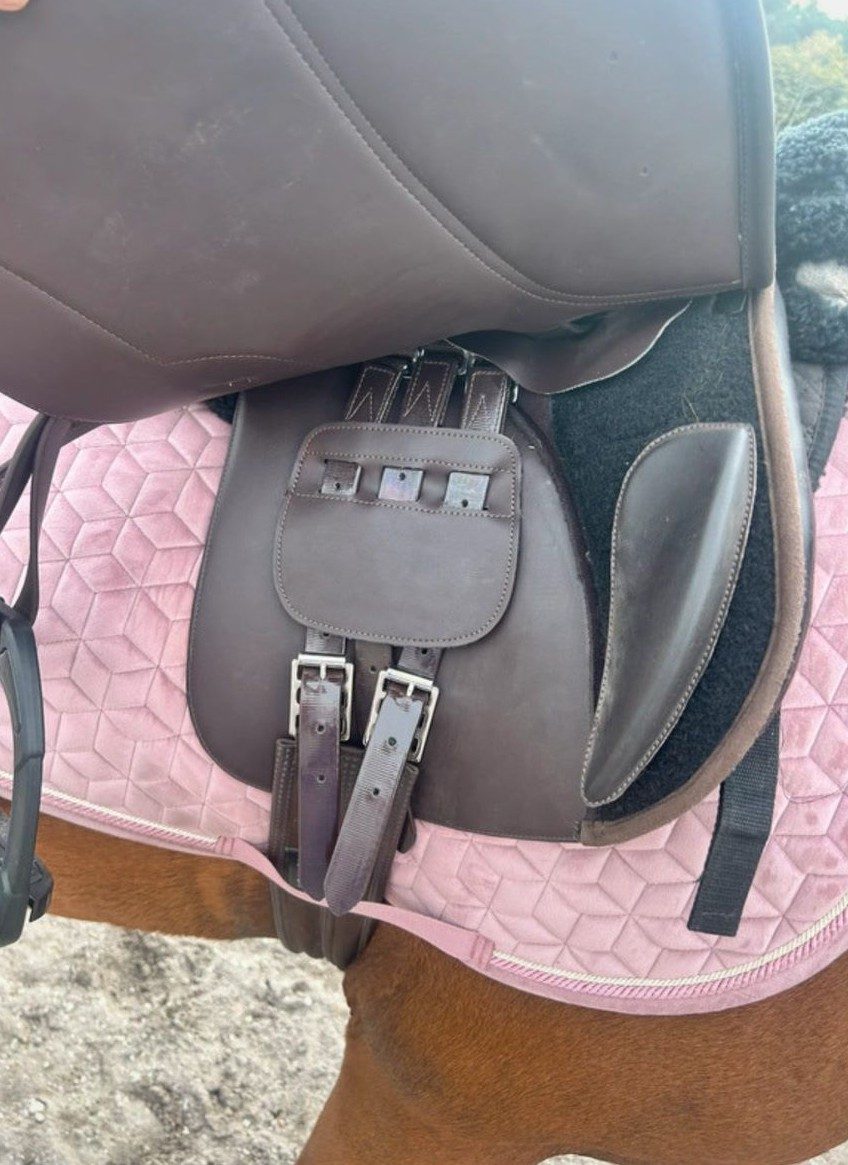 Selle mixte, média 4