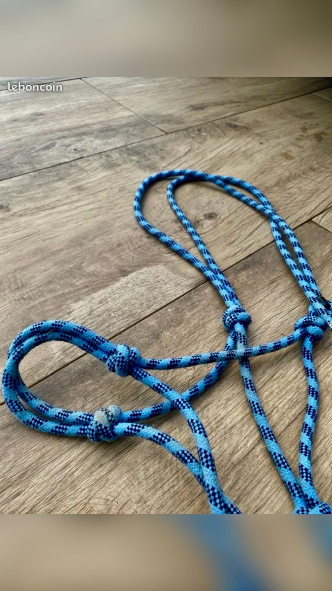 Licol éthologique cheval, média 2