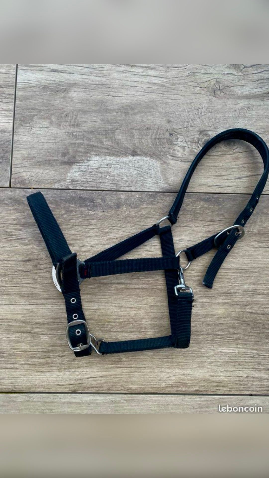 Licol cheval, média 2