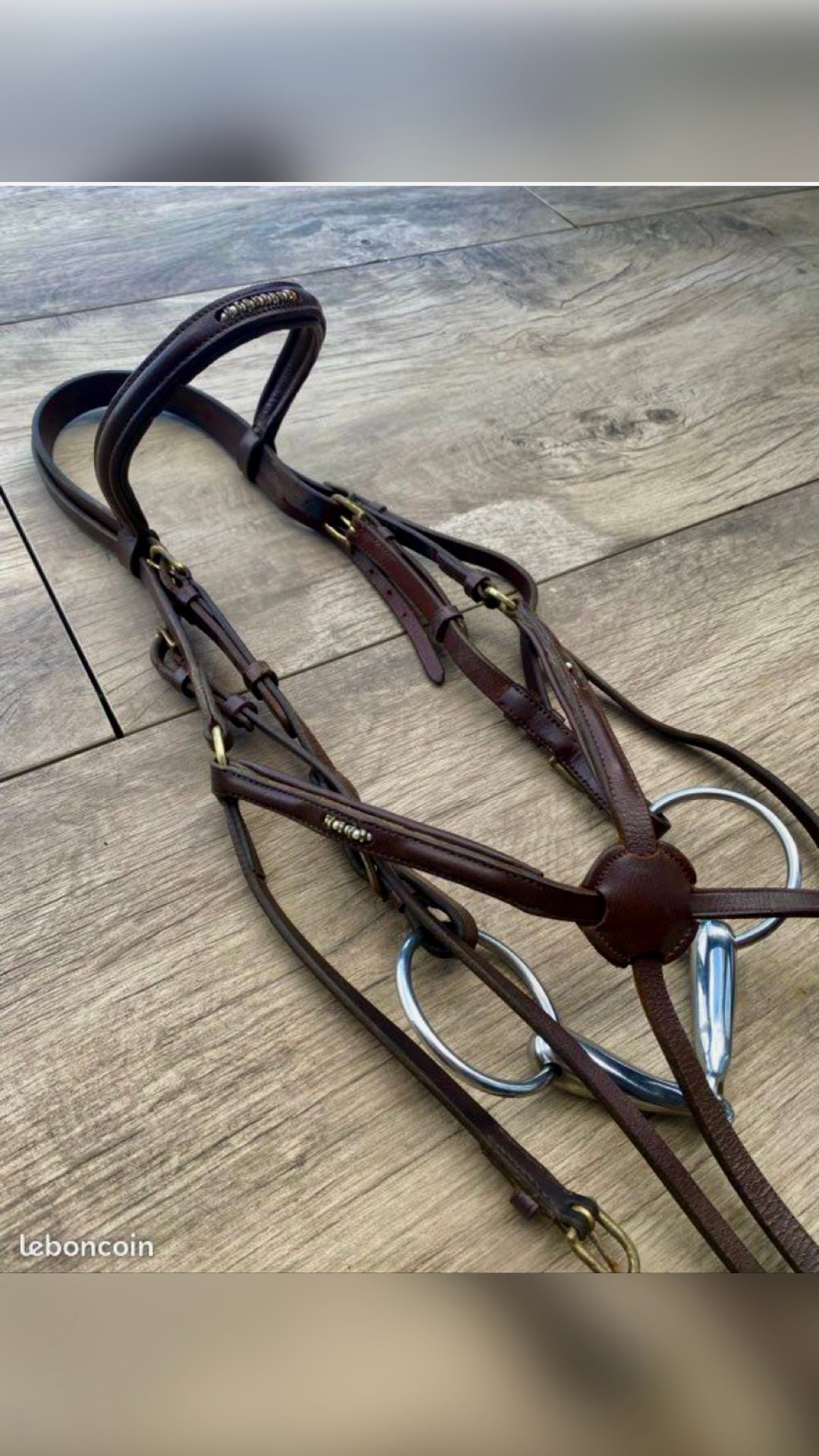 Filet muserolle croisé cheval, média 2