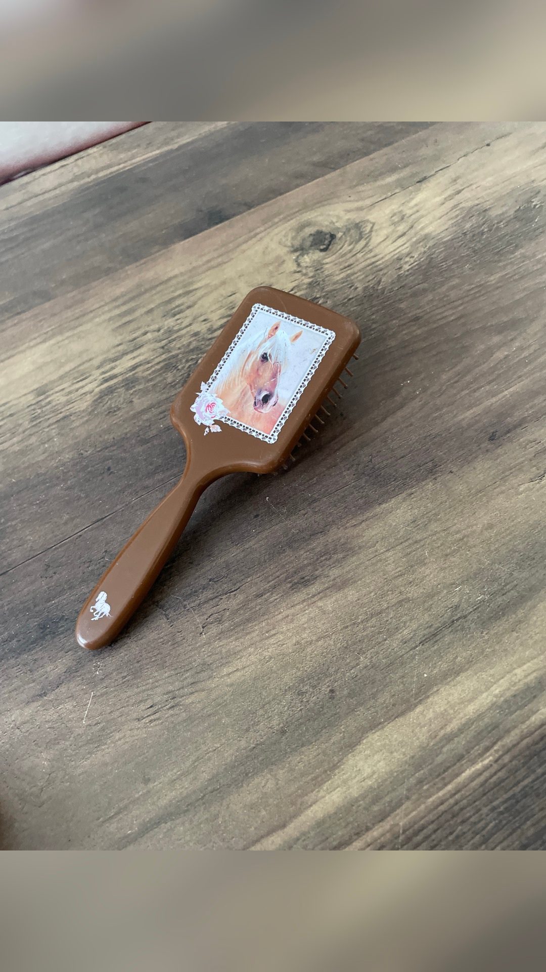 Brosse à crins, média 2