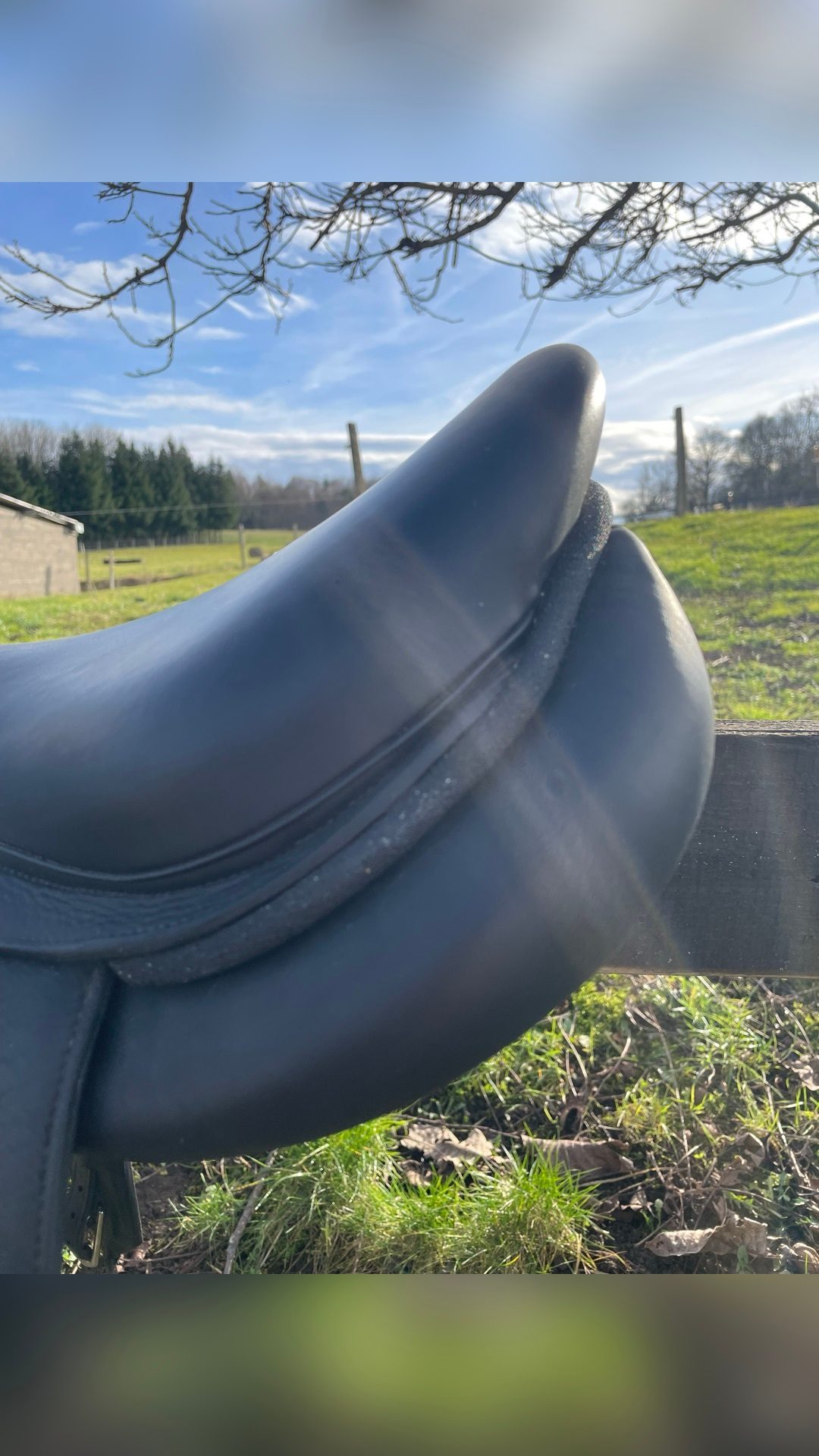 Selle Forestier, média 6