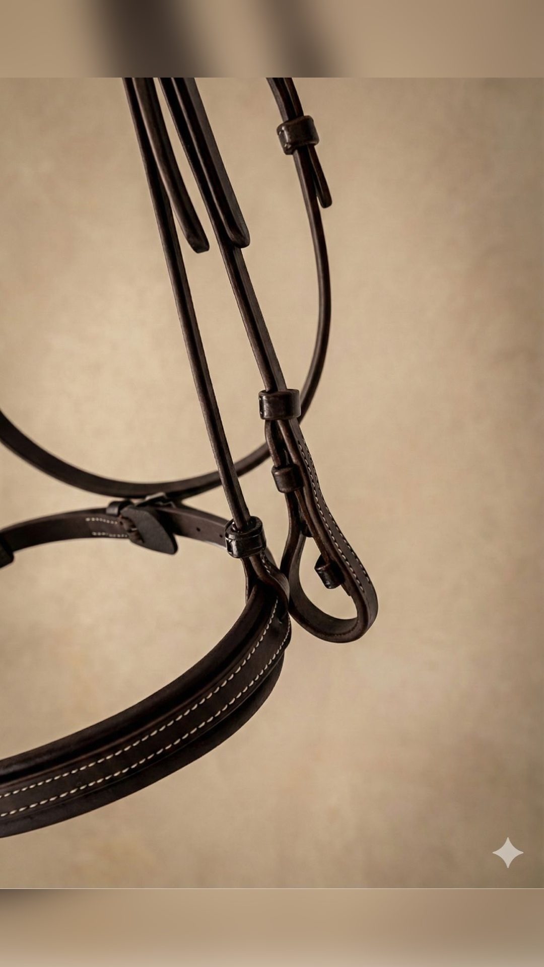 Filet en cuir Elekka et Renes - Taille Cheval - Marron, média 9