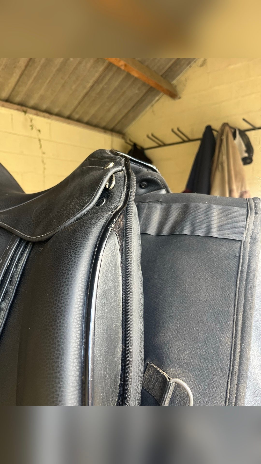 Selle dressage, média 2