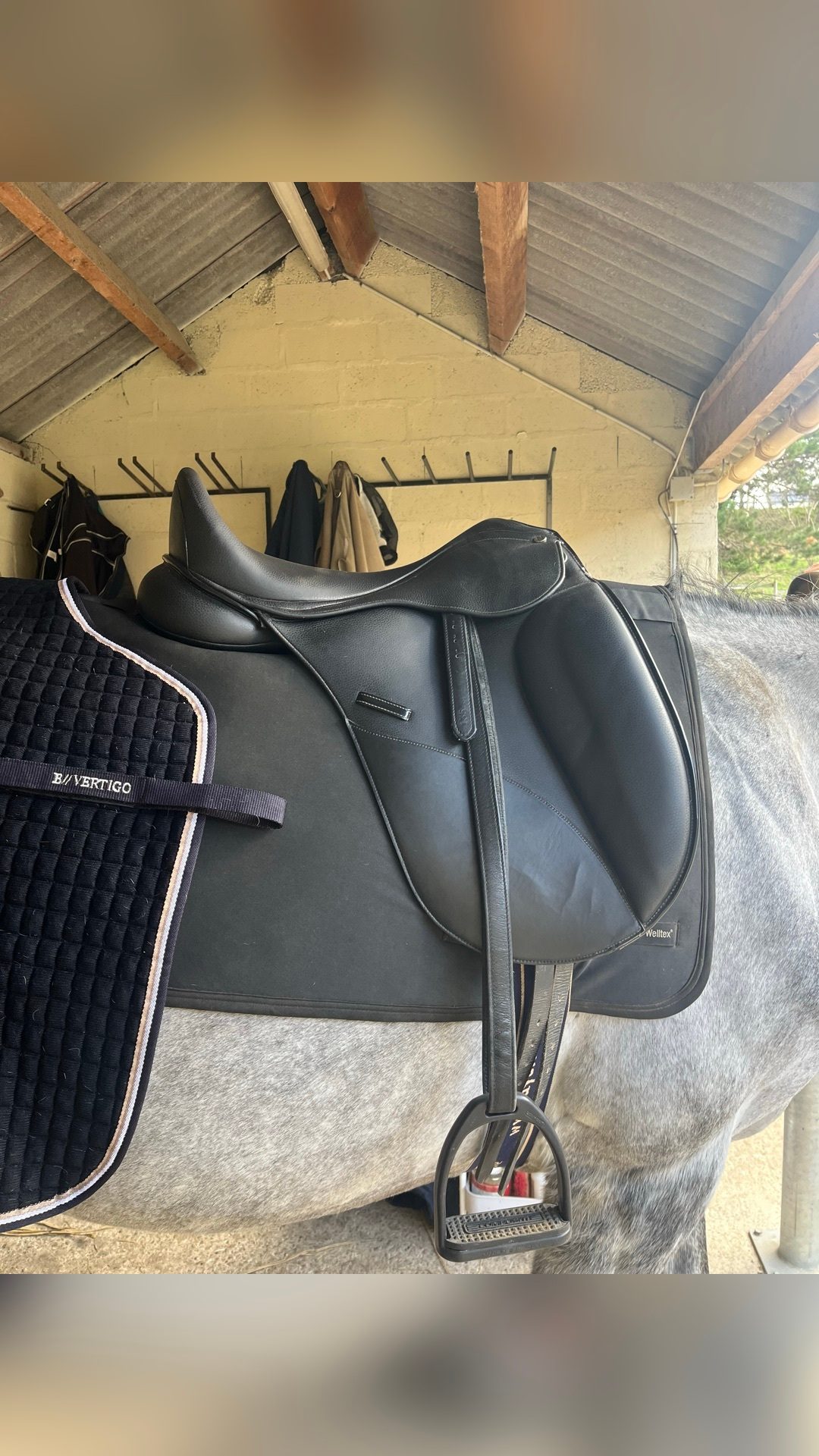 Selle dressage, média 3