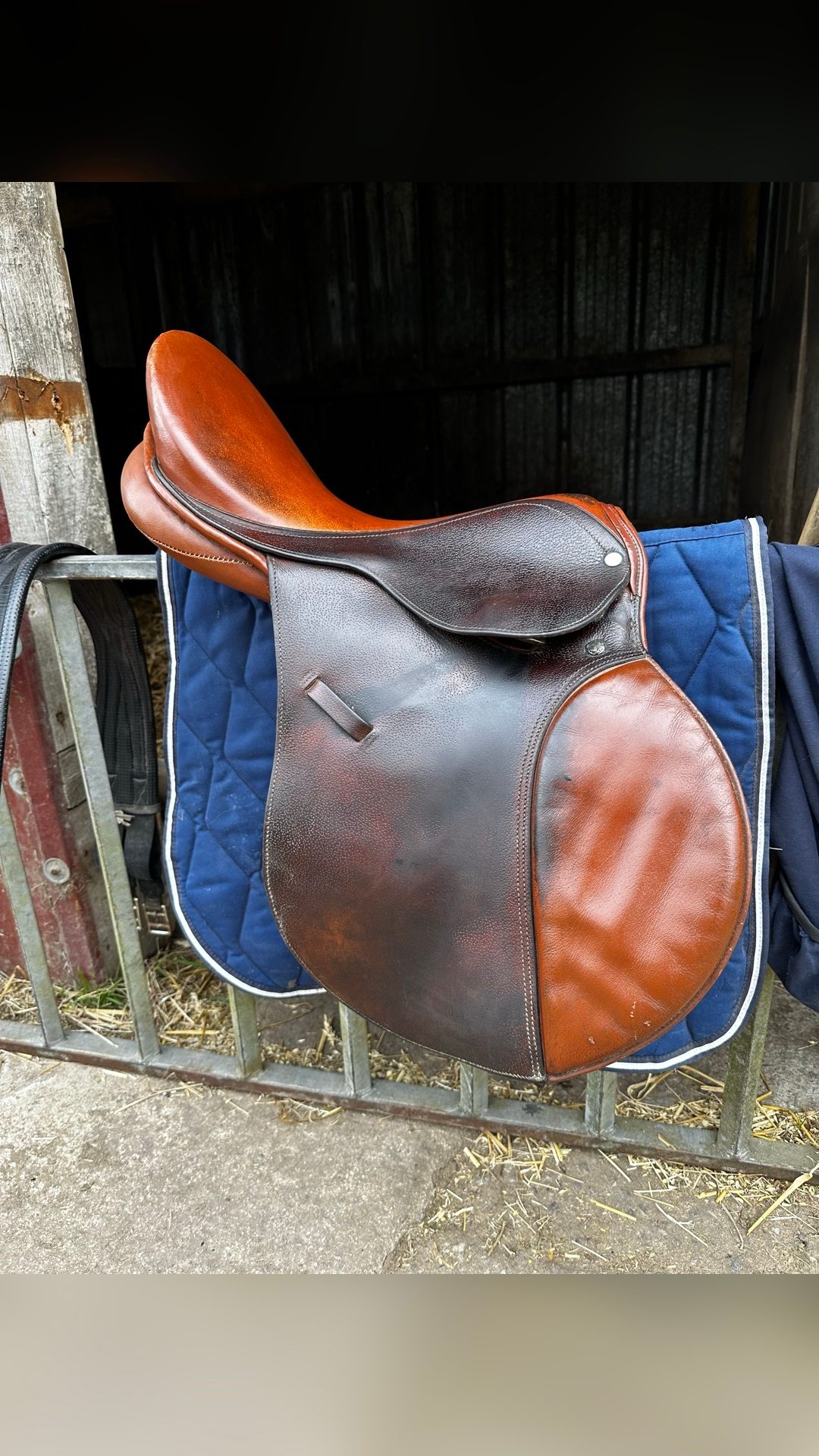 Selle tout équipée (sangle/étrier/étrivière/couvre selle), média 2