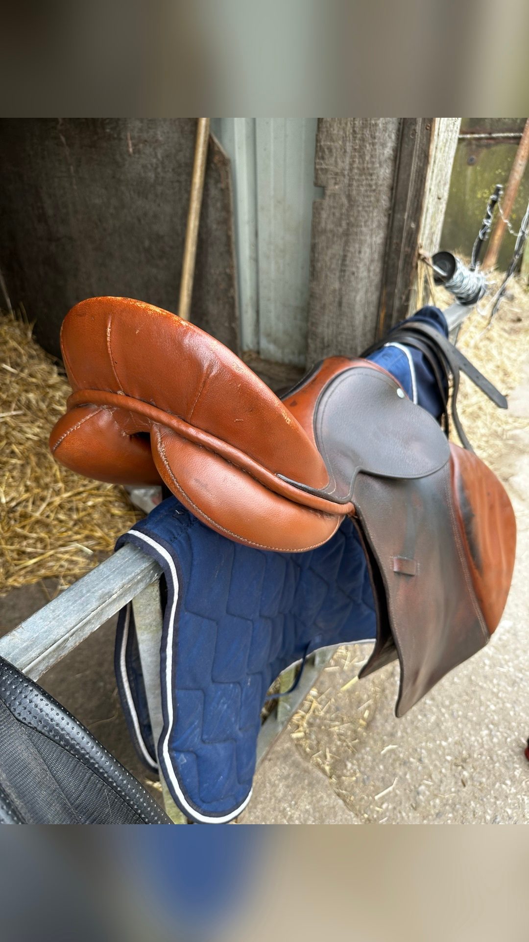 Selle tout équipée (sangle/étrier/étrivière/couvre selle), média 4